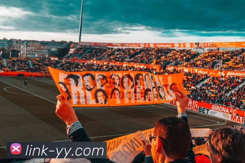 易游体育平台生态图